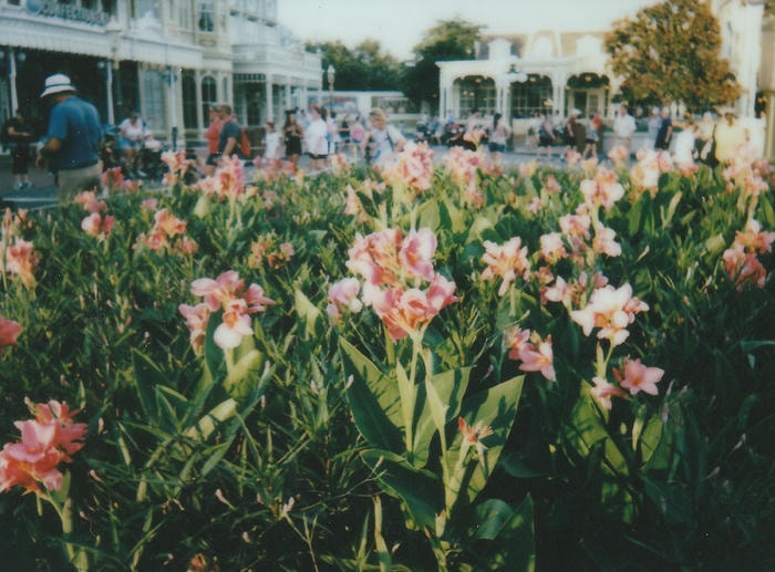 instant picture from my florida trip